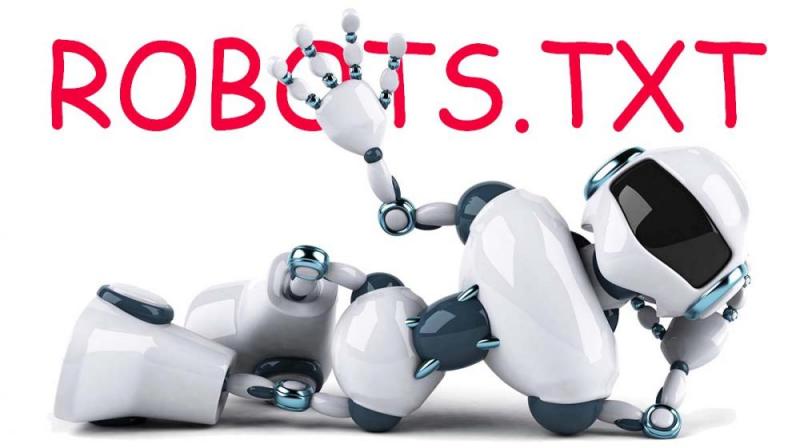 Что такое robots.txt и зачем он нужен в Саранске